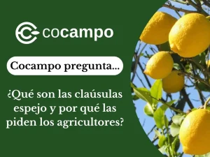 Banner de qué son las cláusulas espejo y por qué las piden los agricultores