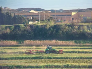 tractor sembradío