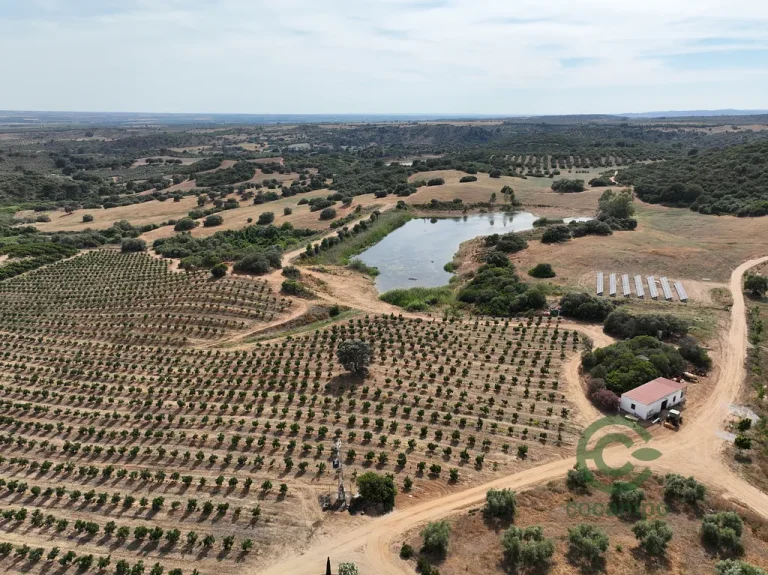 Finca rústica España