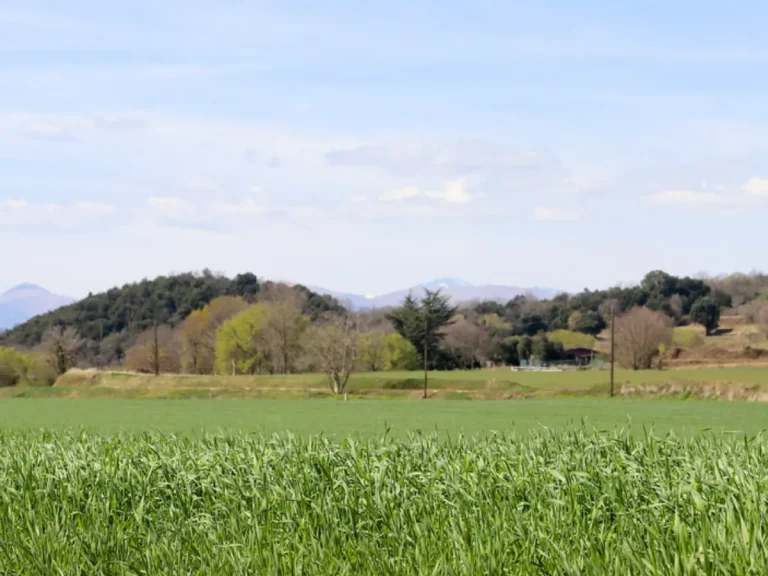 Finca rústica casa rural