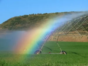 arcoiris diversidad campo