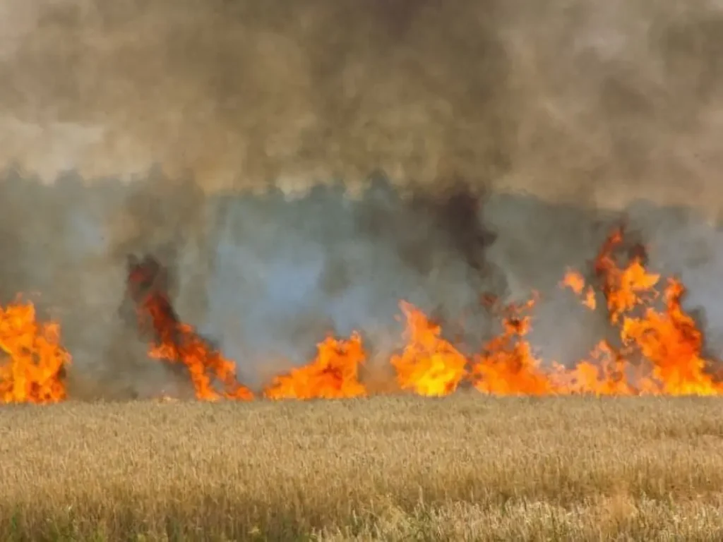 incendios forestales España