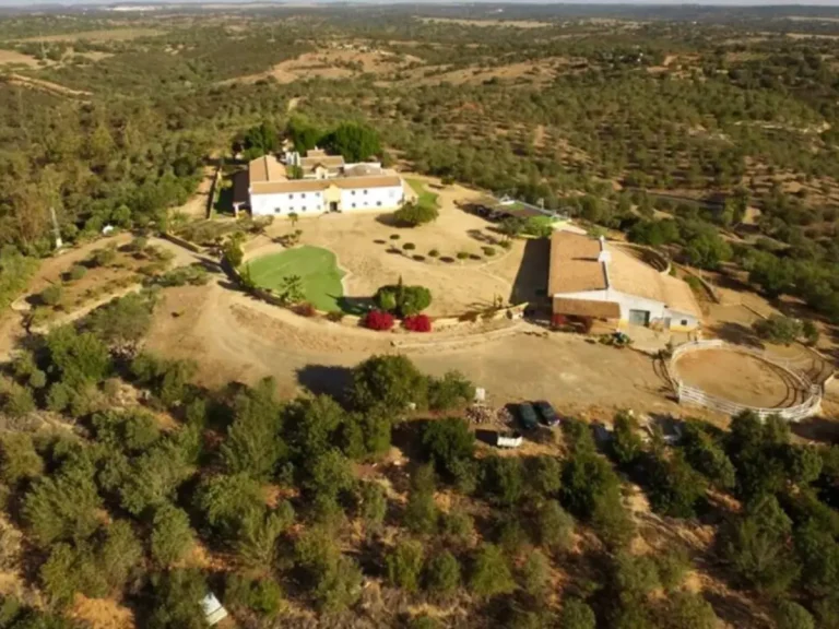 Finca Andalucia Cocampo