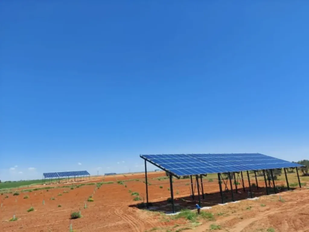 paneles fotovoltaicos energía renovable
