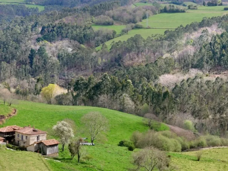 vista de paisaje en campo rural