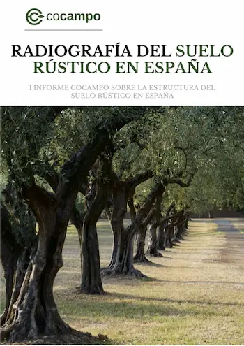 PORTADA COCAMPO INFORME ESTRUCTURA SUELO ESPAÑA