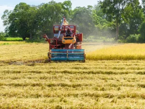 tractor en finca agricola