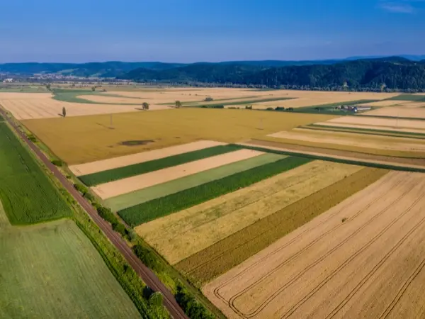 vista aerea terreno agricola