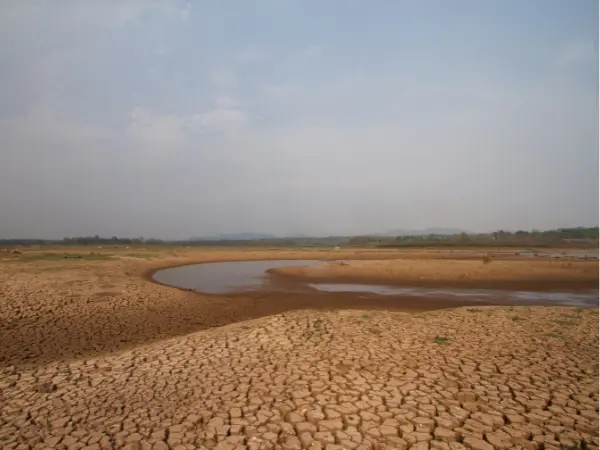 Panorama de la sequía en Andalucía