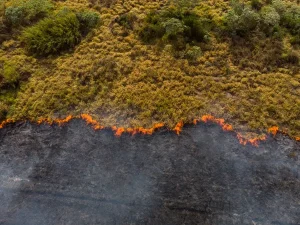 Incendio forestal en España