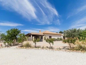 Finca rústica de almendros en Murcia (España)