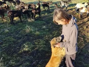 Clara Benito Pacheco con su rebaño caprino en el Día Internacional de la Mujer Rural