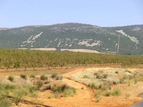 Finca rústica en Toledo