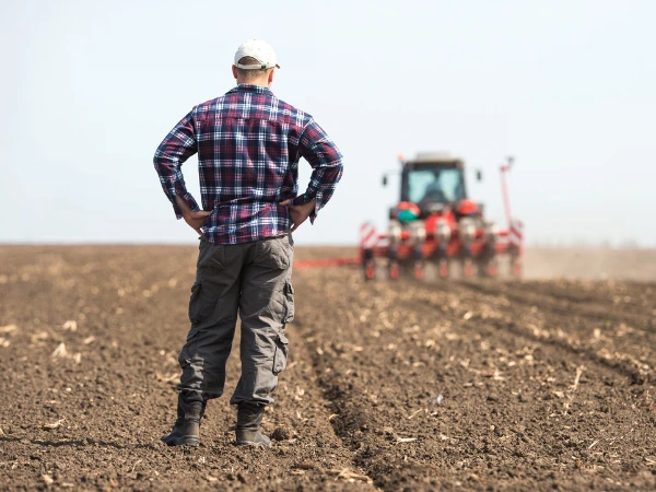 Un agricultor observa las tierra de cultivo de su explotación
