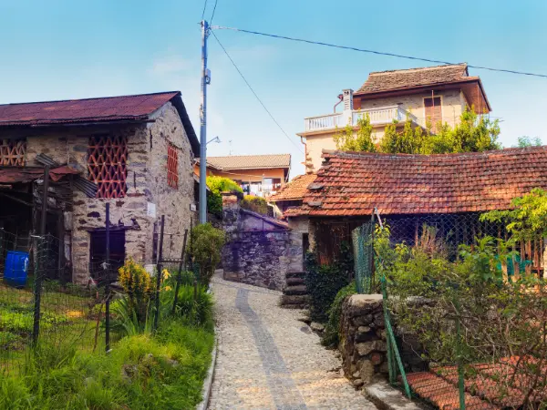 Conjunto de fincas en un área rural