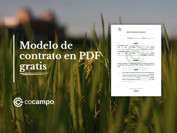 modelo de contrato de compraventa de fincas rústicas