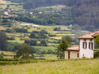 Una finca con un verde campo de fondo