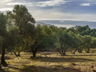 Terreno rústico en Castilla y León.