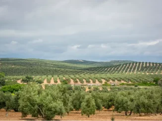 Terreno rústico en Extremadura.