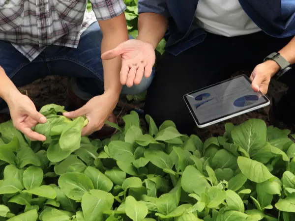 Un técnico explica a un agricultor los tipos de tasaciones existentes