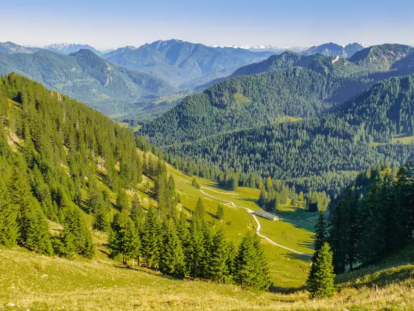 Monte con exuberante vegetación.