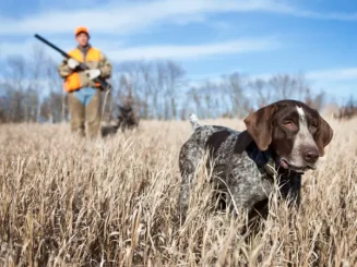 Cazador junto a su perro en el campo durante la temporada de caza en Cantabria 2025/2026.