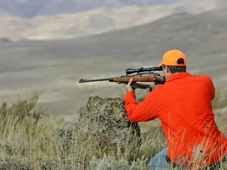 Cazador mira a través de su arma durante la temporada de caza en Comunidad Valenciana 2025/2026.