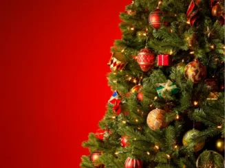origen del arbol navidad