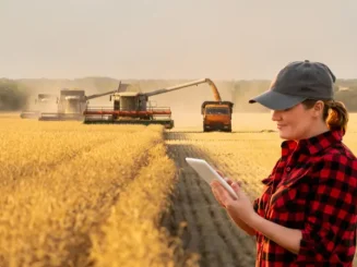 Agricultora aplica tecnologías de la agricultura 4.0 en su explotación.