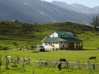Casa en finca rústica con ganado pastando en un valle montañoso.