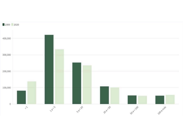 Gráfico de barras con la evolución del tamaño de las explotaciones agrarias por rangos de hectáreas (2009-2020).
