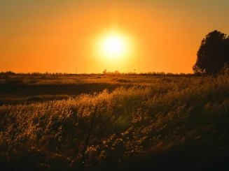 Paisaje rural al atardecer con campos dorados y cielo despejado, representando el clima templado característico del tiempo en otoño.