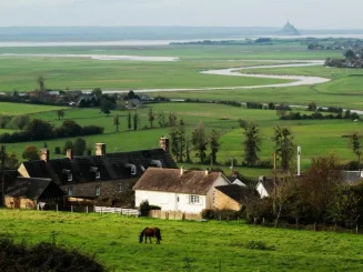 Paisaje rural con casas y campo verde.