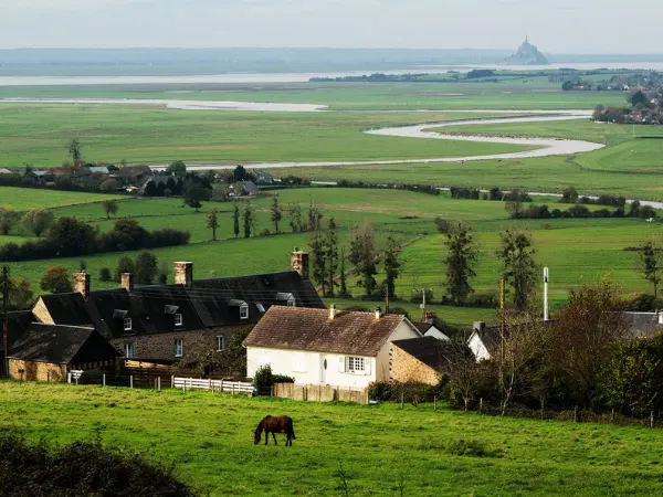 Paisaje rural con casas y campo verde.