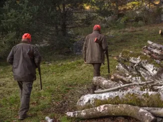 Ropa de cazador en acción: dos hombres equipados para una jornada de caza en el monte.