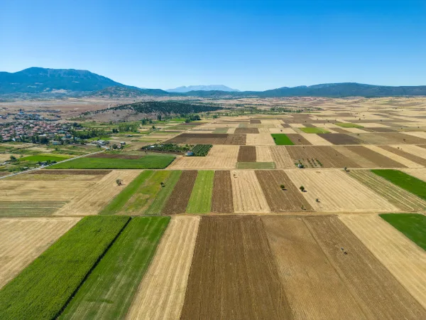 Cambios de uso de suelos: terrenos junto a la población listos para nuevos usos.