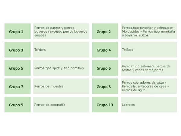 Clasificación de razas de perros por la FCI: 10 grupos según función y tipo.