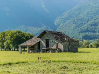 Casa rústica en entorno montañoso rodeada de naturaleza.