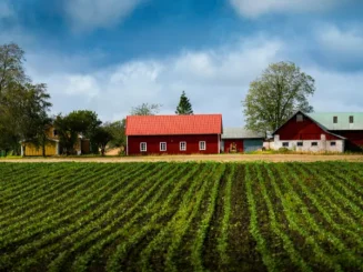 Campo cultivado con casas rurales que ilustra qué es una finca agrícola.