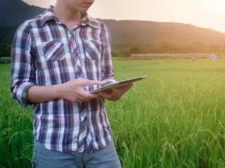 Agricultor a controlar os sensores agrícolas na sua finca rústica.
