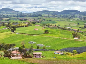 Zona rural em Portugal, com paisagens florestais.