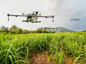Uso de drones, tecnologias emergentes de Agrotech, em uma quinta.