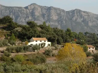 Finca com uma montanha ao fundo.