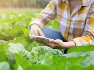 Agricultor utilizando inteligência artificial na agricultura.