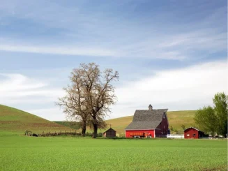 Casa rústica situada numa propriedade rural.