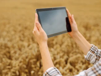 Mãos de uma agricultora a segurar um tablet no campo, representando o uso de novas tecnologias na agricultura em Portugal.