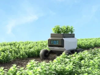 Robot agrícola a colher colheita num campo cultivado.