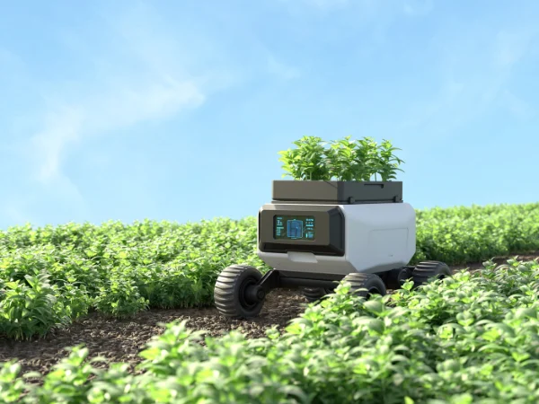 Robot agrícola a colher colheita num campo cultivado.